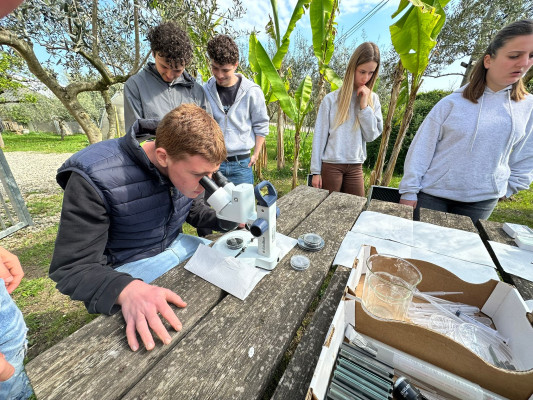 Il suolo è vivo! Analisi biologica e funzionale della biodiversità edafica